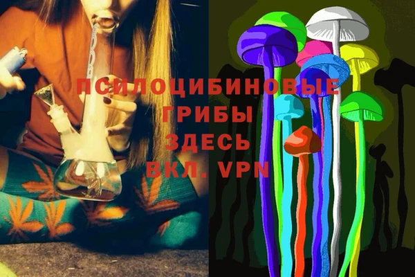 бутират Верхний Тагил