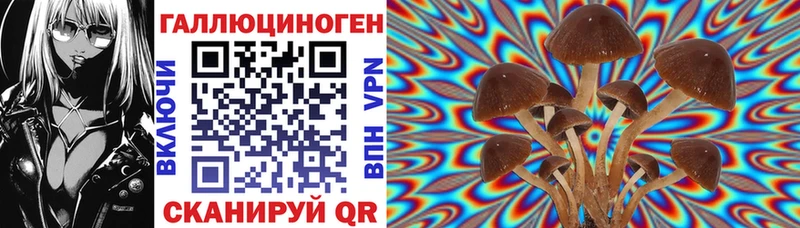 Псилоцибиновые грибы MAGIC MUSHROOMS  Купить закладки  Нефтегорск 